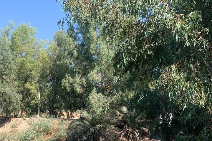 Haifa Port Walking Tour: Explore Baha'i Gardens, Templer Quarter & Old Port photo 6