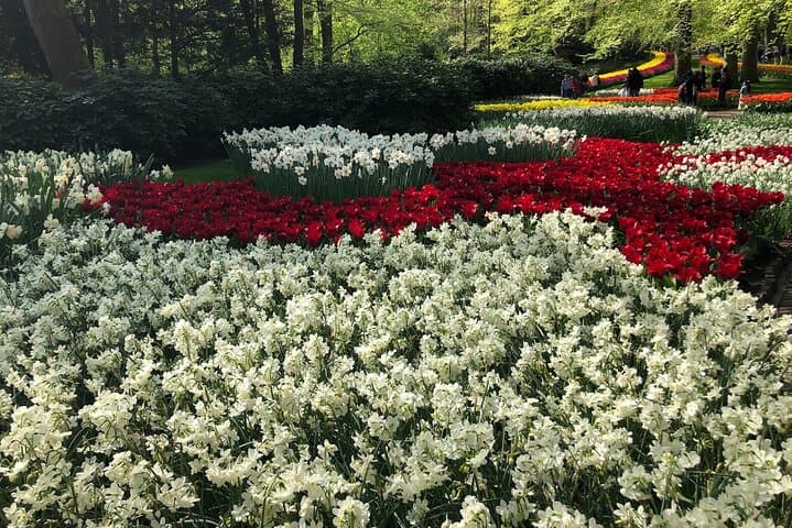 Keukenhof Tulip Fields & Zaanse Schans Windmills: Day Tour from Amsterdam