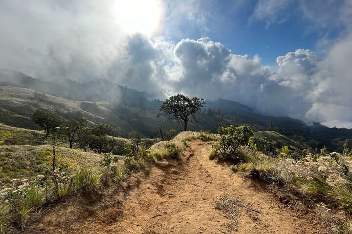 3-Day Mount Rinjani Trek: Summit, Segara Anak Lake & Hot Springs photo 6