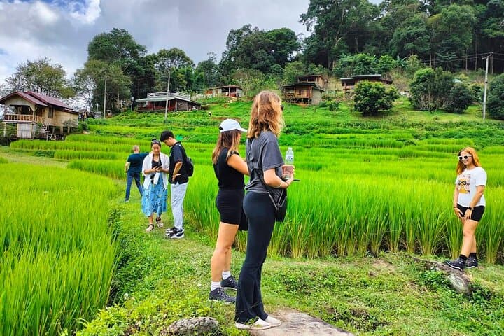 Doi Inthanon Day Tour: Waterfalls, Twin Pagodas & Royal Project from Chiang Mai photo 3