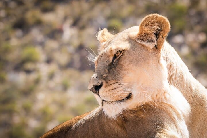 Selous Game Reserve 2-Day Safari from Zanzibar: Wildlife, Logistics & Tips photo 6