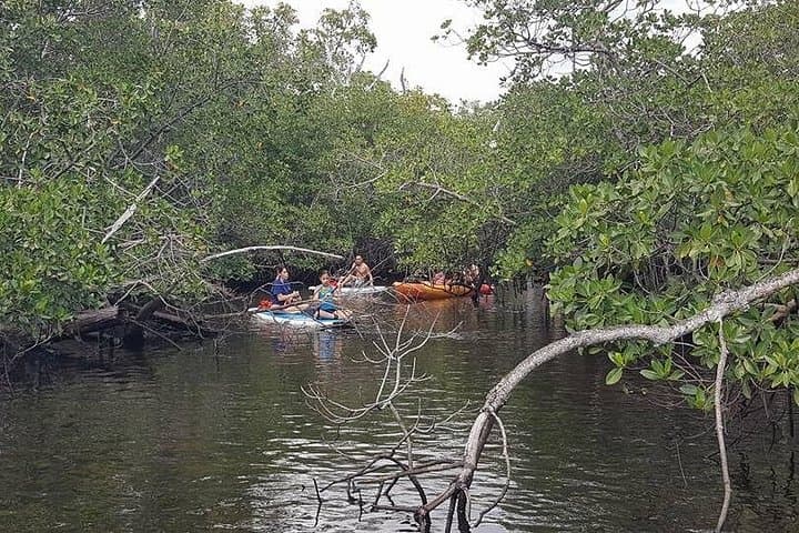 Fort Lauderdale One-Way Paddle to Bonnet House — Kayak & SUP River Tour photo 1