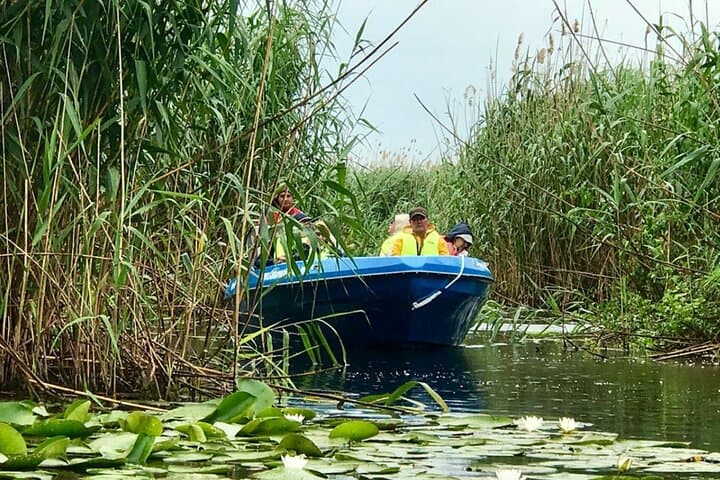Day Trip to the Danube Delta: Private Boat Tour, Wildlife & Traditional Lunch from Bucharest
