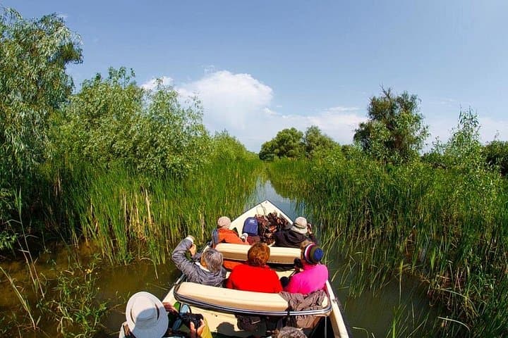 Day Trip to the Danube Delta: Private Boat Tour, Wildlife & Traditional Lunch from Bucharest photo 2