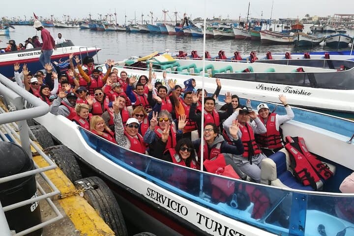 Full-Day Ballestas Islands, Paracas & Huacachina Oasis from Lima