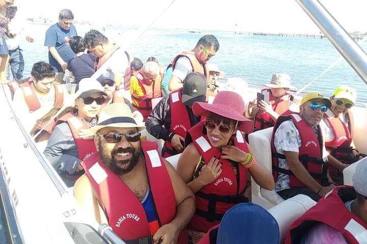Full-Day Ballestas Islands, Paracas & Huacachina Oasis from Lima photo 2