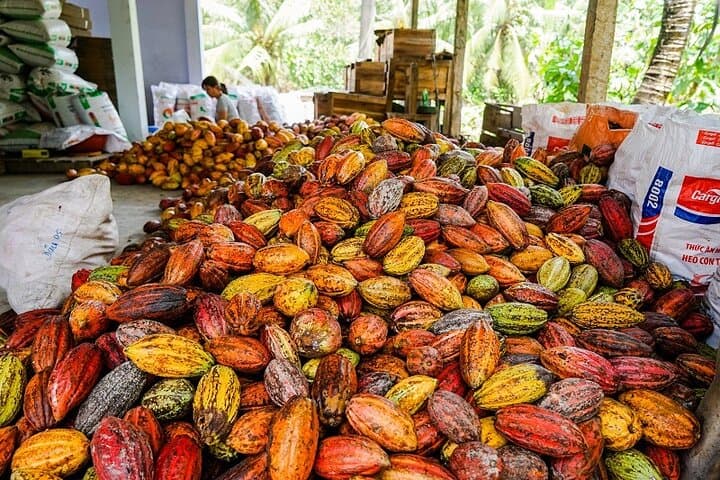 Mekong Delta One-Day Cycling Tour from Ho Chi Minh City photo 3