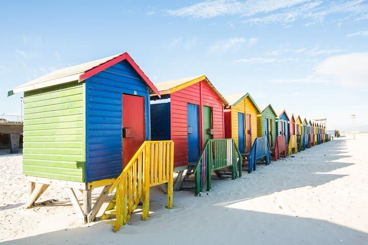 Cape Point & Boulders Beach Road Trip — Penguins, Seals and Coastal Views photo 4