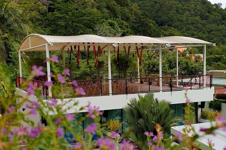 Aerial Yoga Class in Kata, Phuket — 60-Minute Hammock Flow with Pool Access photo 5