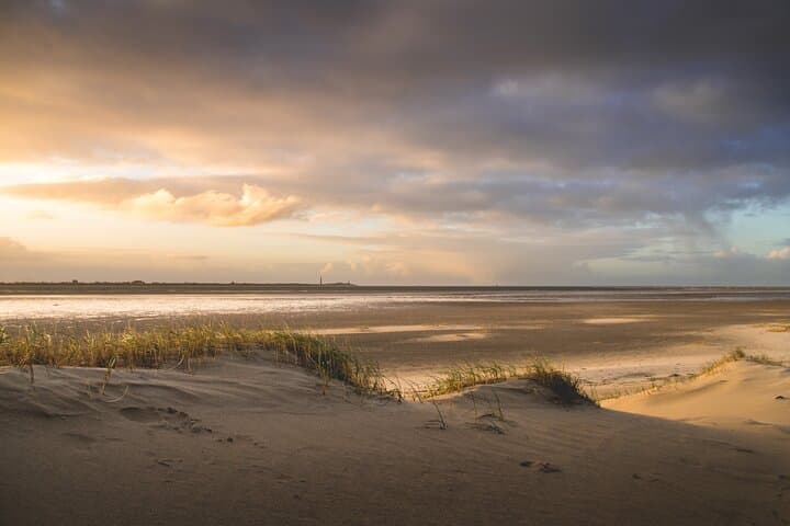 Texel Day Tour: Guided Island Circuit to Seals, Windmills & Beaches photo 3