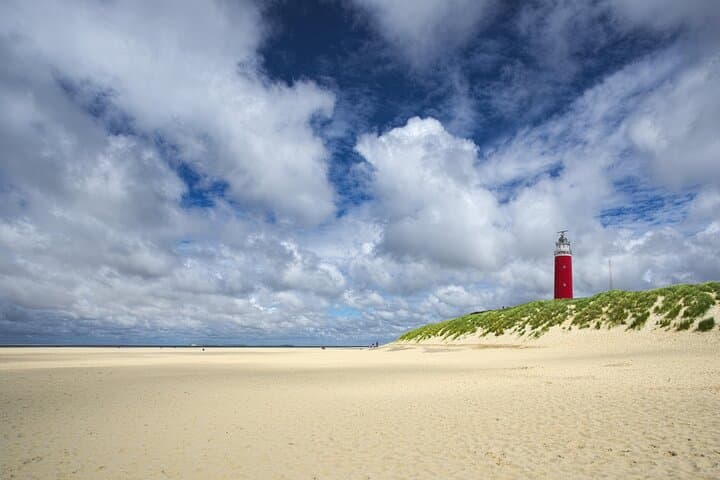Texel Day Tour: Guided Island Circuit to Seals, Windmills & Beaches