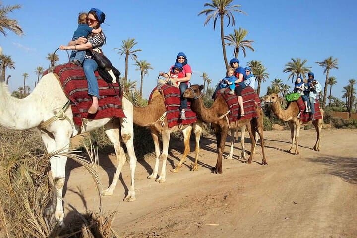 2-Hour Camel Ride in the Marrakech Stone Desert: Jbilets Sunset Experience photo 2