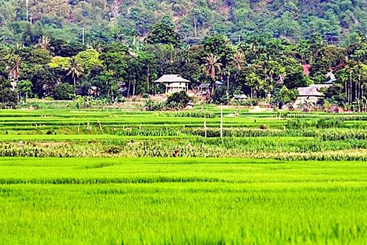 Countryside Bicycle & Sunset Wooden Boat Tour from Hoi An photo 3