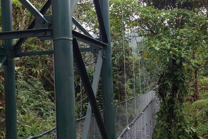 Cloud-Forest Canopy & Hanging Bridges Day Trip from San José — Zipline, Trails, Lunch