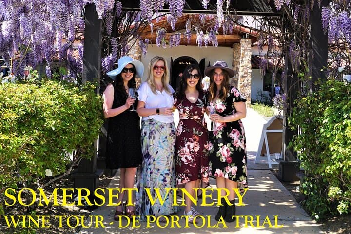 Temecula Premier Wine Tasting Tour — Top Wineries, Cave Lunch & Production Tours photo 6