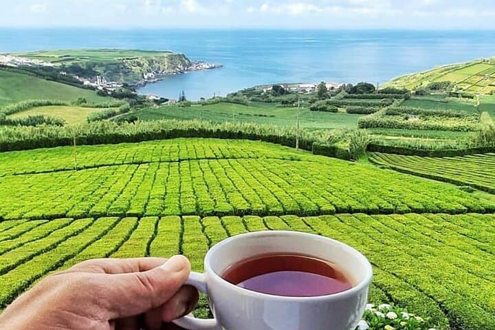 Evening in Furnas: Tea Plantation, Cozido Dinner & Hot Springs photo 4