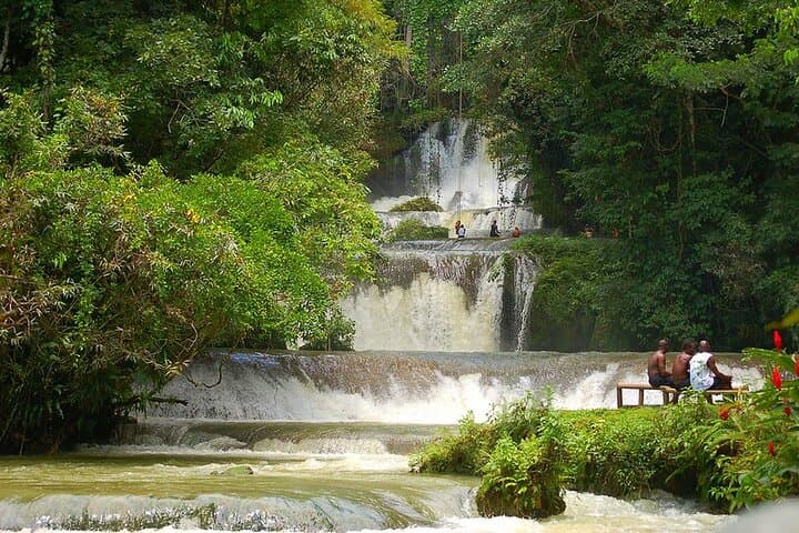 Appleton Rum Estate and YS Falls Day Trip from Montego Bay photo 4