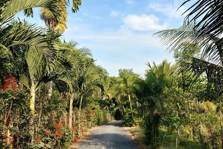 Mekong Delta One-Day Cycling Tour from Ho Chi Minh City photo 4