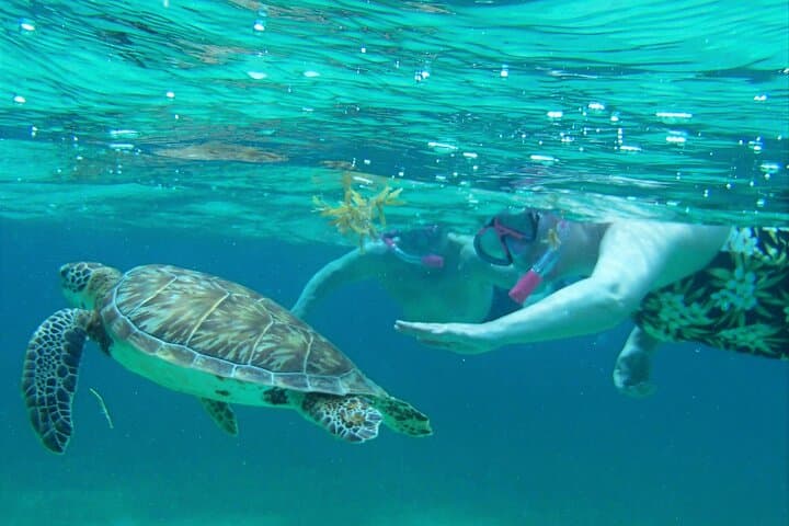 Hol Chan & Shark Ray Alley Private Half-Day Snorkel Charter from San Pedro photo 3