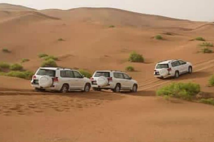 Mini Sahara 4x4 Day Trip from Agadir: Dunes, Massa Birds & Berber Lunch