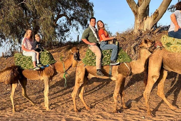 Agadir Sunset Camel Trek and Dinner Barbecue on the Souss Estuary photo 4