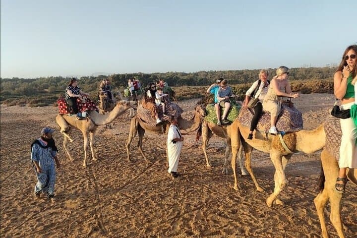 Agadir Sunset Camel Trek and Dinner Barbecue on the Souss Estuary photo 5