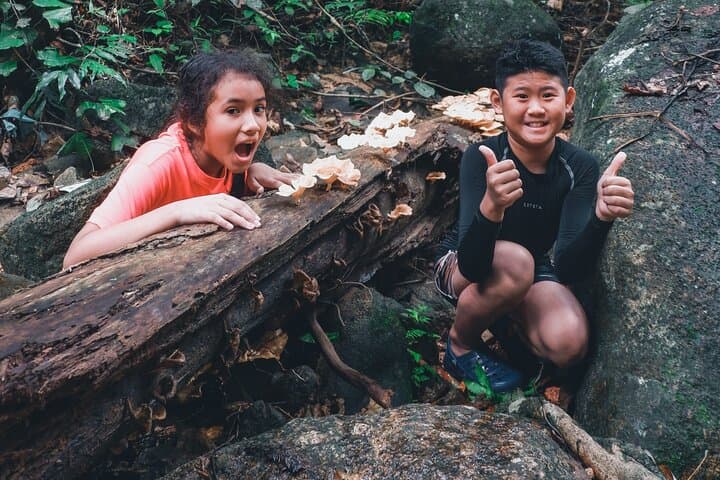 Secluded waterfall adventure near Kuala Lumpur: two-level jungle falls photo 2
