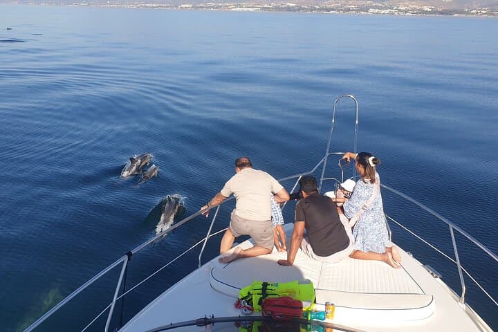 2-Hour Dolphin Watching Cruise off Marbella: Coastal Wildlife & Tips photo 5