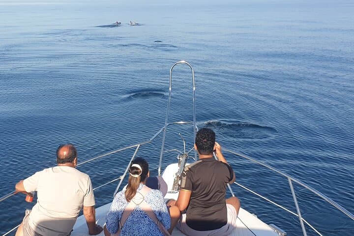 2-Hour Dolphin Watching Cruise off Marbella: Coastal Wildlife & Tips photo 6
