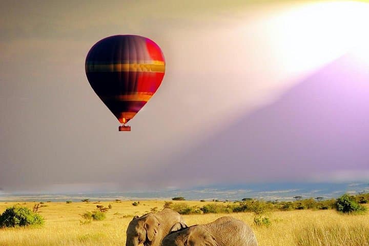 luxury-5-day-naivasha-masai-mara-safari-kenya photo 4