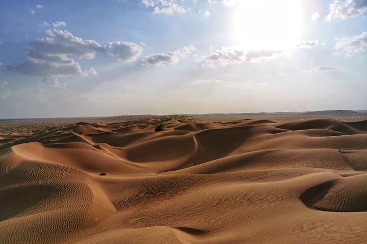 Sunset in the Empty Quarter: Rub Al Khali Desert Safari from Salalah photo 5