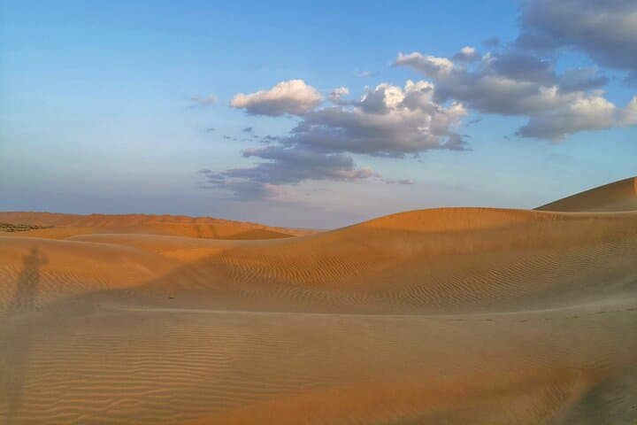 Sunset in the Empty Quarter: Rub Al Khali Desert Safari from Salalah photo 6