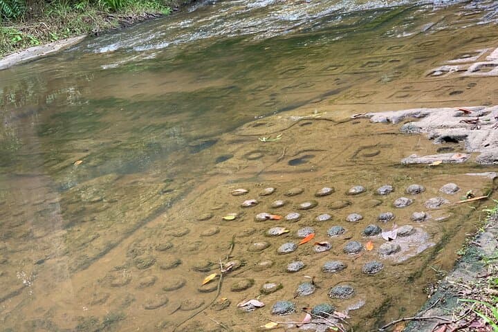Explore Phnom Kulen: Waterfalls, River of a Thousand Lingas and the Reclining Buddha photo 3
