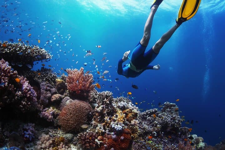 Blue Lagoon Snorkel: Boat Tour to Padangbai's Turquoise Reefs photo 3