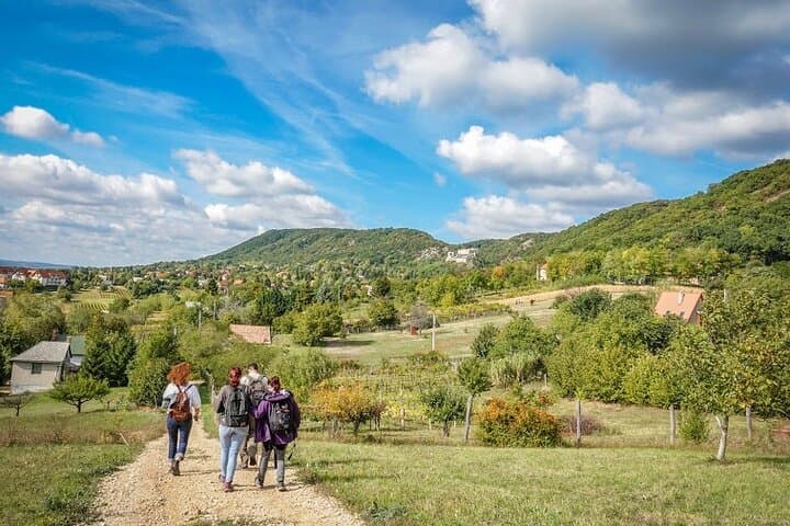 Castle Hiking and Cheese-Making on the Ezerjó Wine Route (Csókakő) photo 2