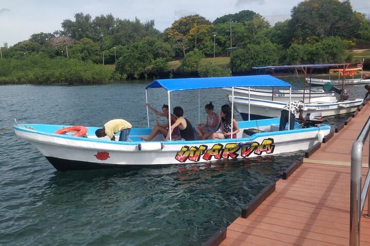 Private Boat Snorkel at Kisite Mpunguti Marine Park — Dolphins, Wasini & Shimoni Caves photo 2