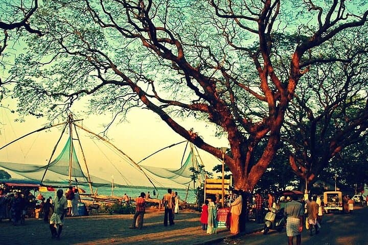 Fort Kochi Walking & Backwater Tours — Chinese Nets, Synagogue and Village Cruise