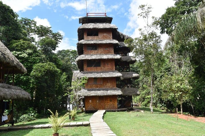 Caiman Eco-Lodge Cuyabeno: 4-Day Amazon Canoe & Jungle Experience