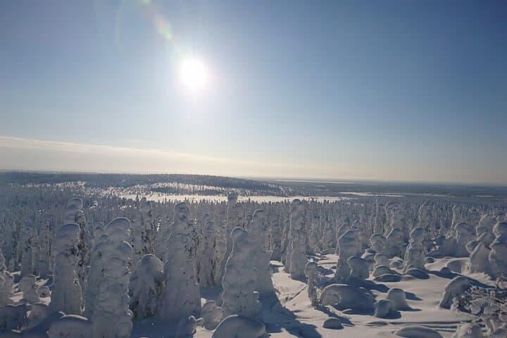 Snowshoe the Kiruna Treeline: Guided Half-Day Arctic Hike photo 3