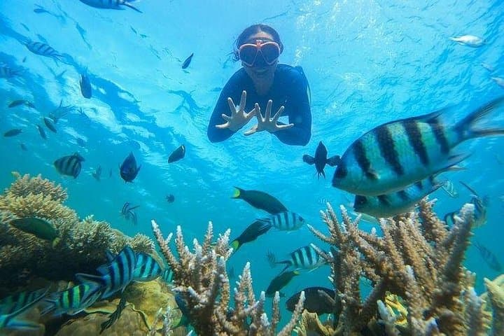 Bali Blue Lagoon Snorkeling & Ubud Swing Day Tour (Private Transfer, Lunch)