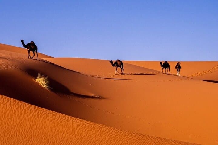 Private 2-Day Sahara Desert Tour from Fez with Luxury Tent & Camel Trek photo 3