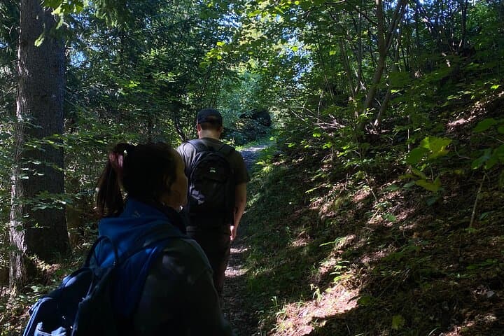 Village Explorer: Grindelwald Local Paths & Eiger-Front Orientation Walk photo 4