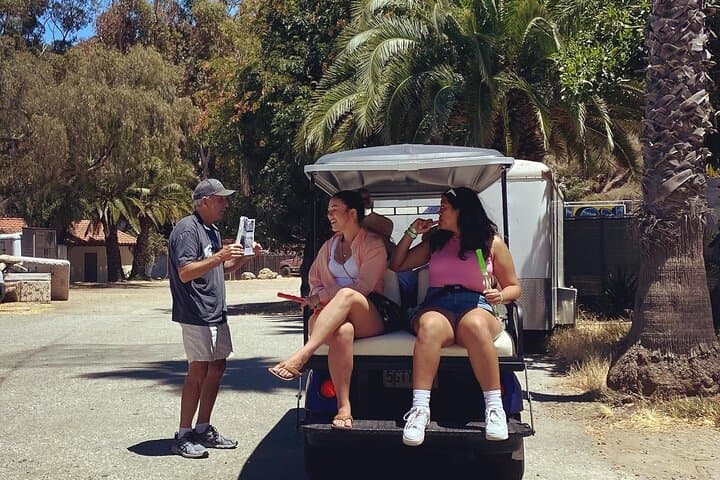 Catalina Island Golf Cart Tour of Avalon — Private 2-Hour Guided Experience photo 1