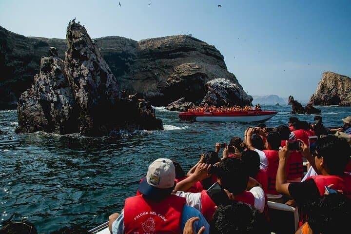 Islas Ballestas Shared Tour: Paracas Wildlife and Huacachina Dunes Full-Day photo 2