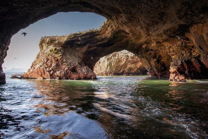 Islas Ballestas Shared Tour: Paracas Wildlife and Huacachina Dunes Full-Day photo 3