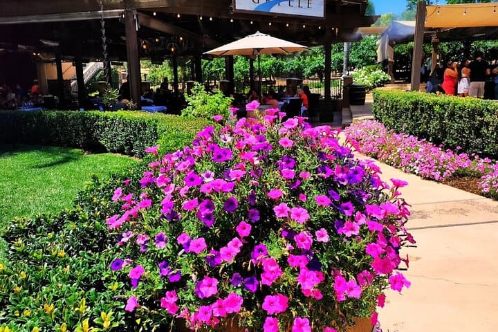 Day Trip to Temecula Wine Country from Los Angeles: Tasting, Views, and Vineyard Walks photo 1