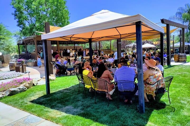 Day Trip to Temecula Wine Country from Los Angeles: Tasting, Views, and Vineyard Walks photo 2