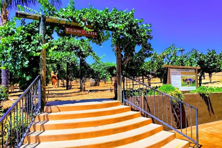 Day Trip to Temecula Wine Country from Los Angeles: Tasting, Views, and Vineyard Walks photo 3