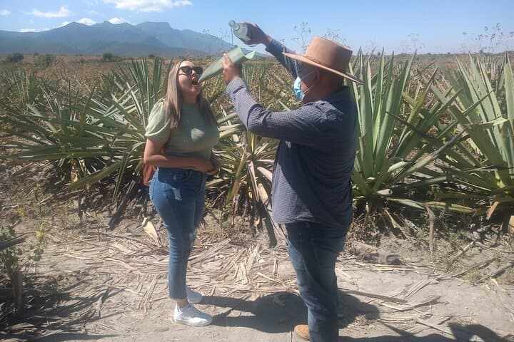 Oaxaca Mezcal Route Adventure: Palenques, Agave Fields & Teotitlán Textiles photo 2