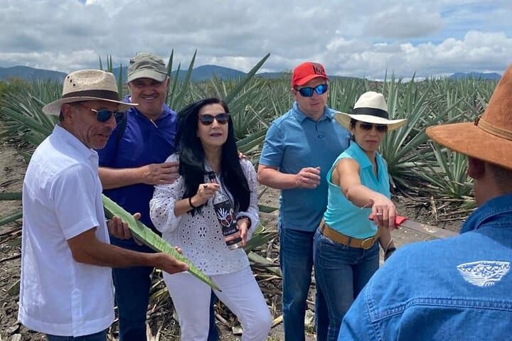 Oaxaca Mezcal Route Adventure: Palenques, Agave Fields & Teotitlán Textiles photo 5
